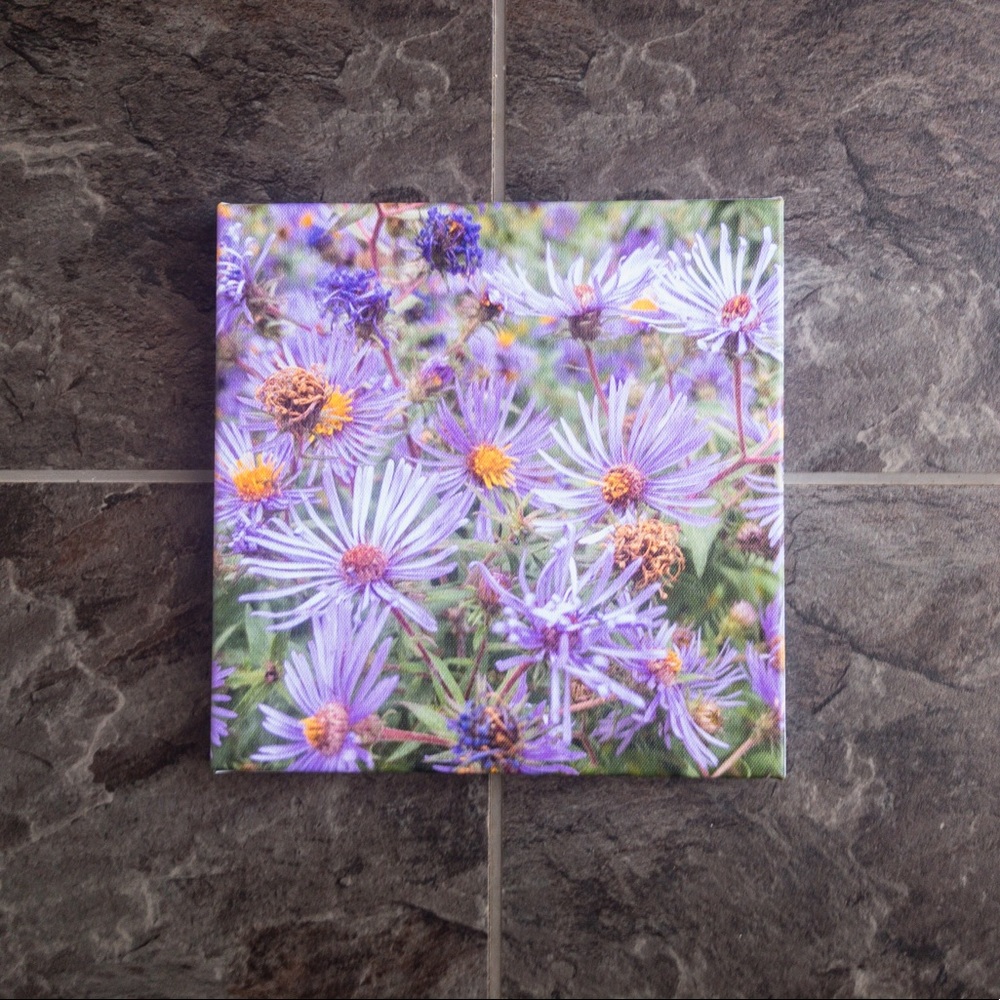 Purple Flowers Nature Photo on Square Canvas ๐ผ - Picture 5 of 7